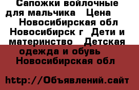  Сапожки войлочные для мальчика › Цена ­ 500 - Новосибирская обл., Новосибирск г. Дети и материнство » Детская одежда и обувь   . Новосибирская обл.